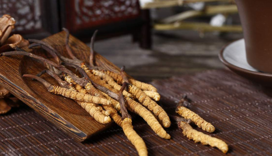 Đông Trùng Hạ Thảo thang thuốc cho phái mạnh