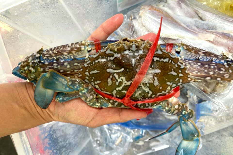 Ghẹ xanh đặc sản Cát Bà Ghẹ xanh đặc sản Cát Bà