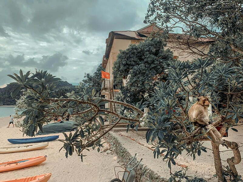 Bãi tắm Đảo Khỉ Cát Bà Bãi tắm Đảo Khỉ Cát Bà