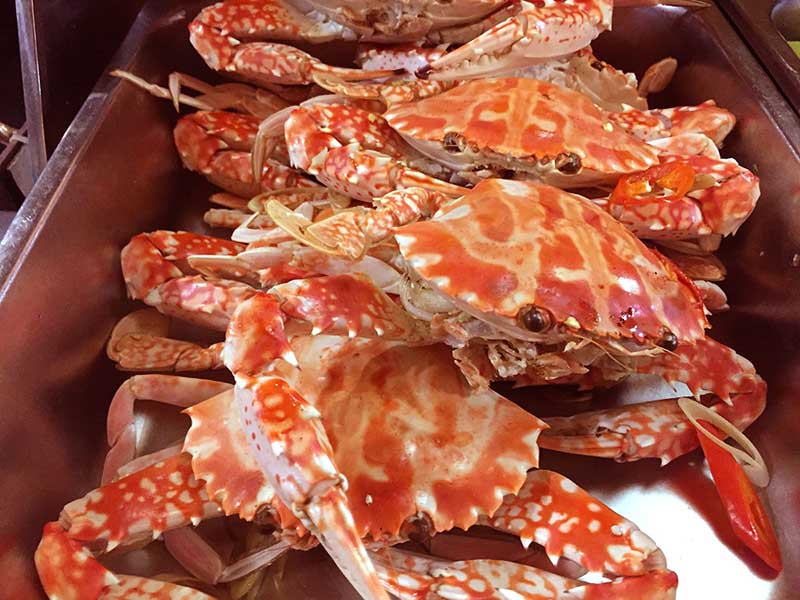 Ghẹ đỏ đặc sản Cát Bà