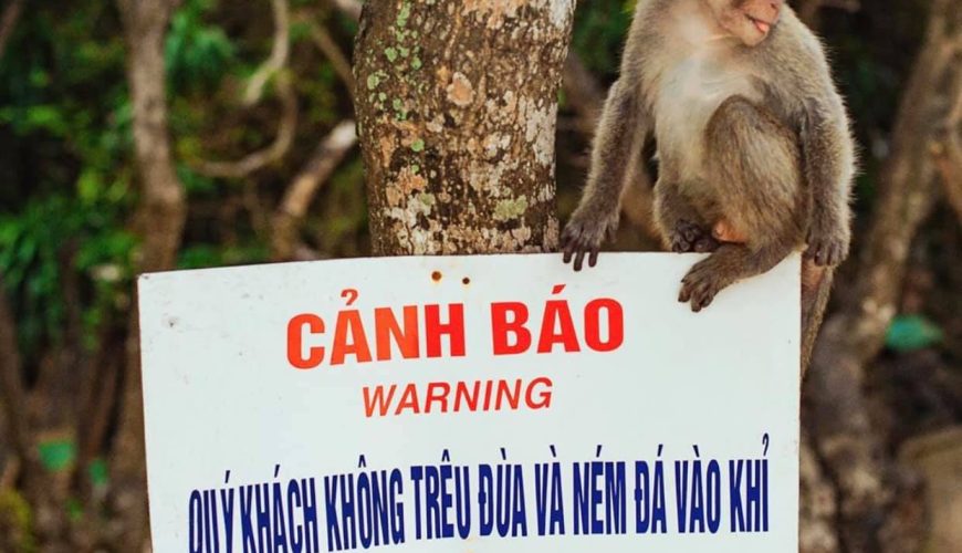 Đảo khỉ Cát Bà