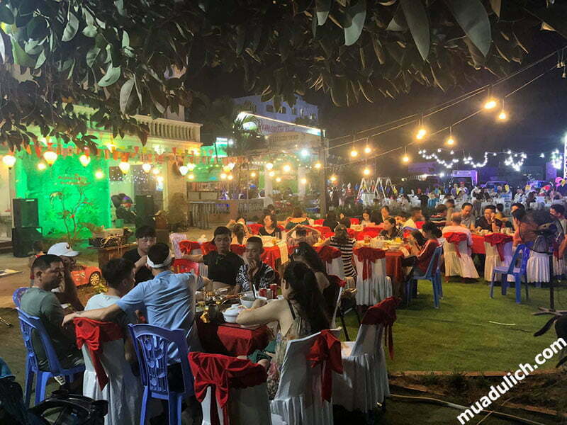 Dolphin Hotel Backpackers