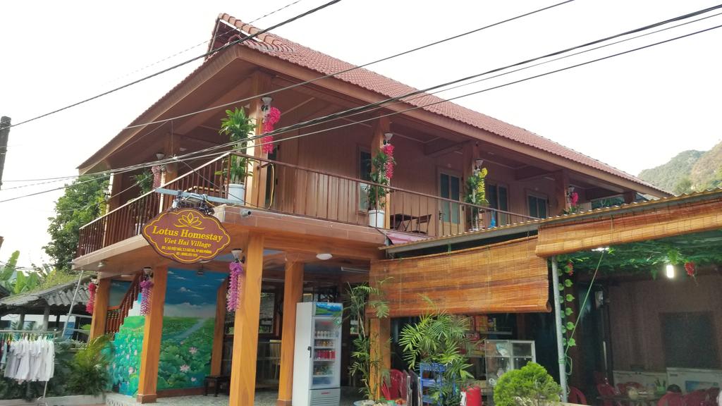 Lotus Homestay - Việt Hải