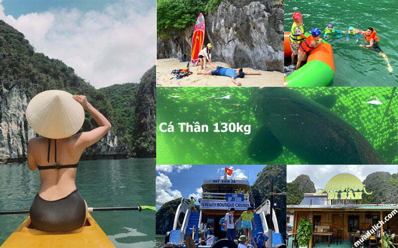 Tour Vịnh Lan Hạ nửa ngày