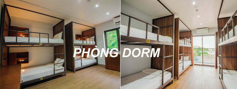 Phòng Dorm buffalo hostel 
