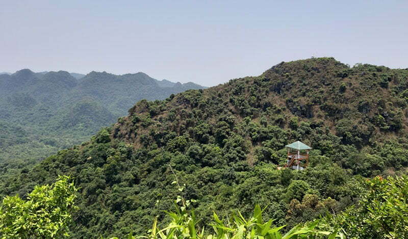 Đỉnh Ngự Lâm Vườn Quốc Gia Cát Bà