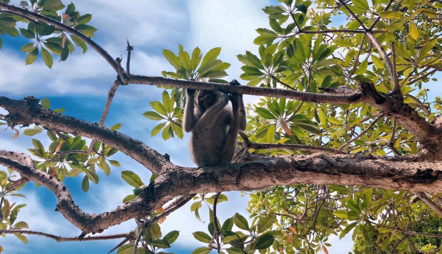 Cưỡng chế công trình trái phép