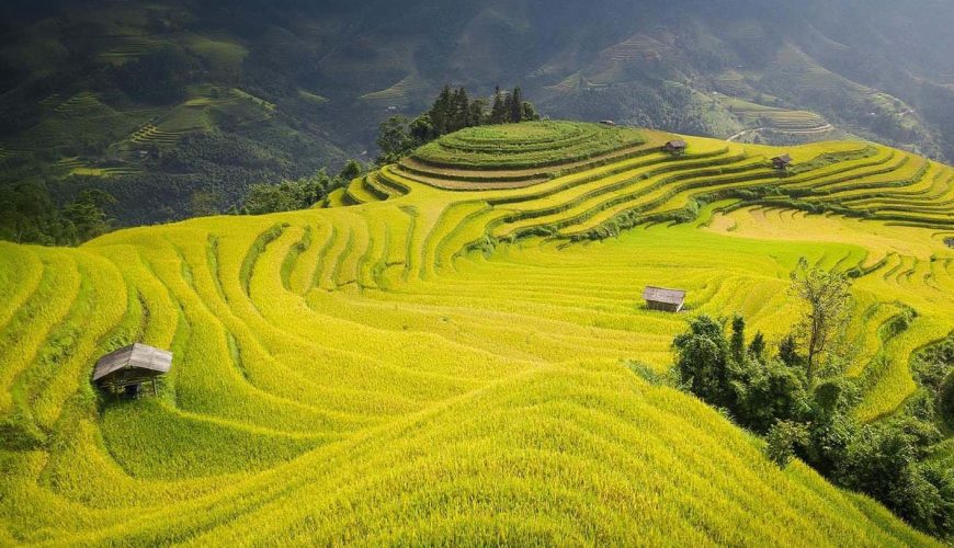 Tour Mù Cang Chải 3 ngày