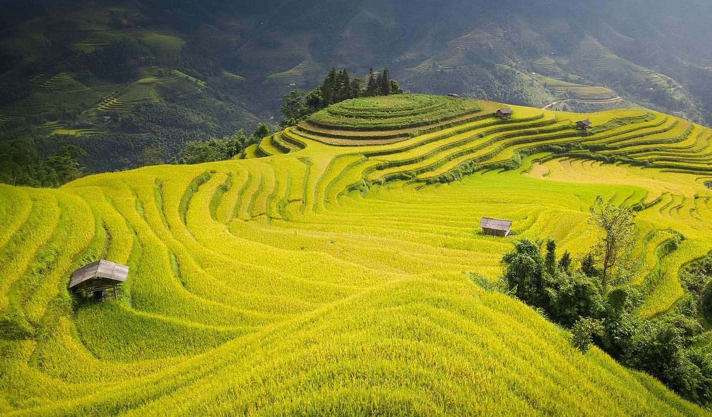 Tour Mù Cang Chải 3 ngày