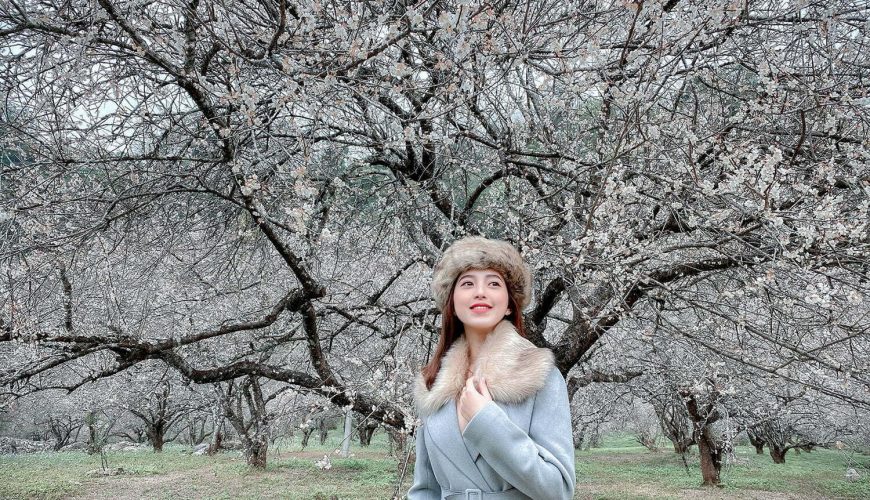 Review Mộc Châu 4 ngày 3 đêm