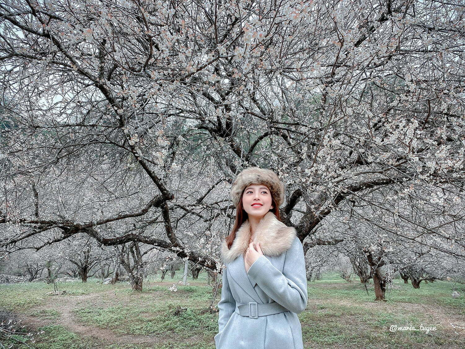 Review Mộc Châu 4 ngày 3 đêm