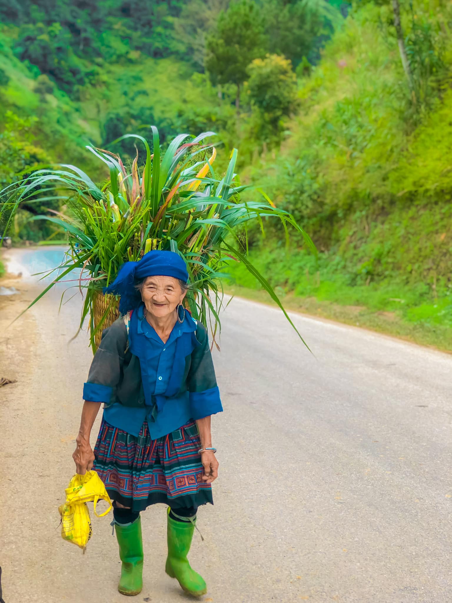 Mùa Vàng Mù Cang Chải