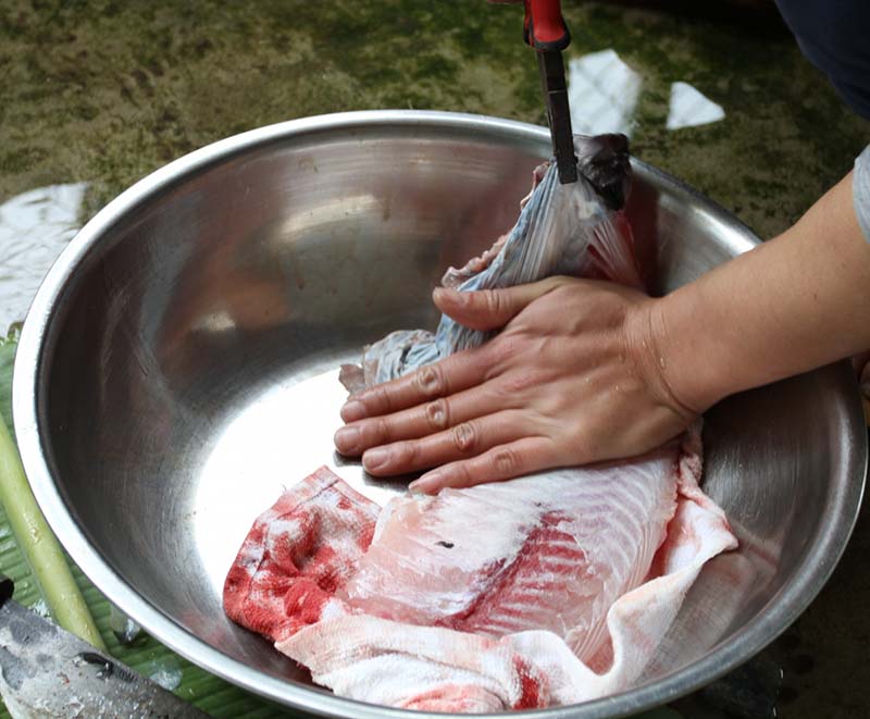 làm gỏi cá bỗng