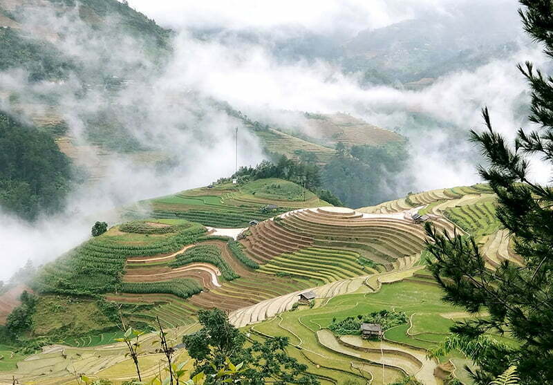 Đồi Mâm Xôi mùa nước đổ Đồi Mâm Xôi mùa nước đổ