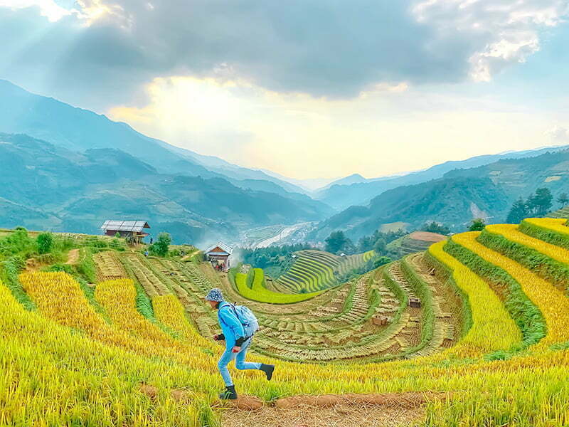 Đồng móng ngựa