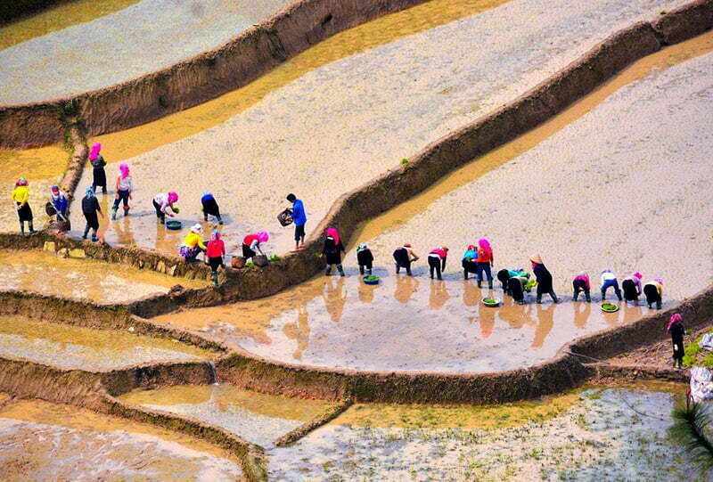 Mù Cang Chải mùa đổ nước và cấy đổi công Mù Cang Chải mùa đổ nước và cấy đổi công
