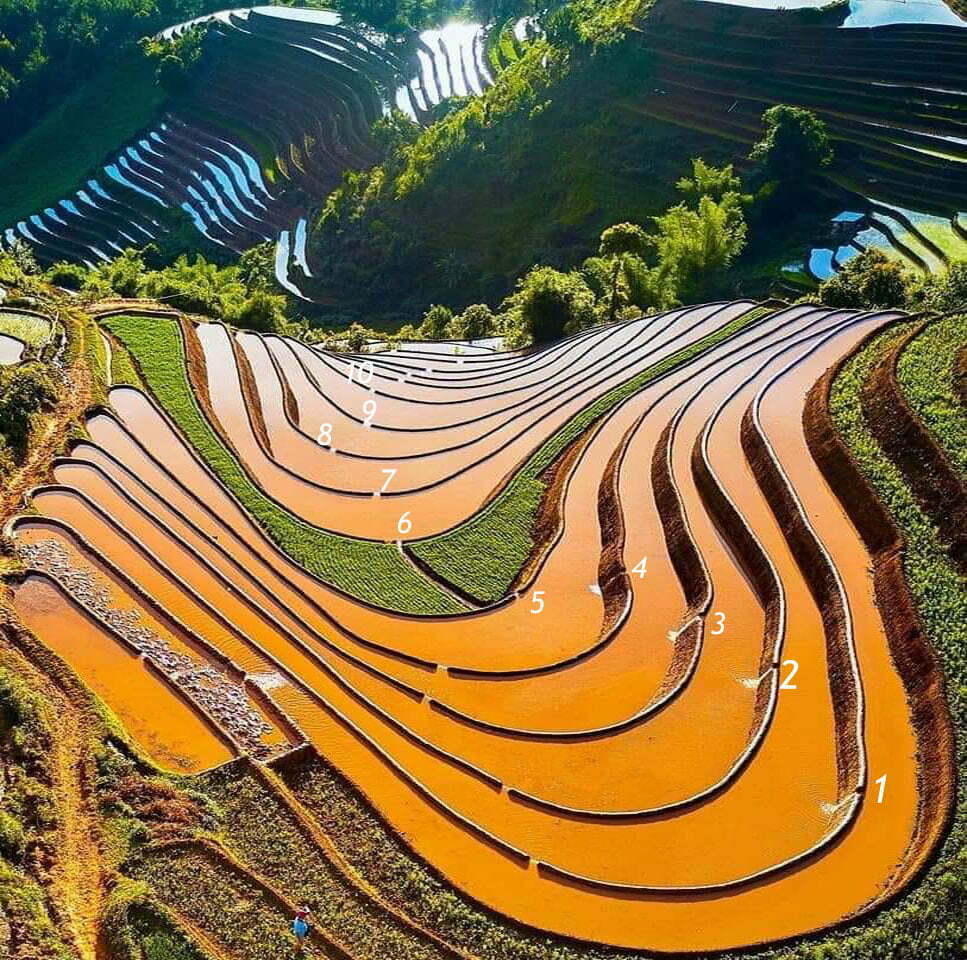 Mù Cang Chải mùa nước đổ Mù Cang Chải mùa nước đổ