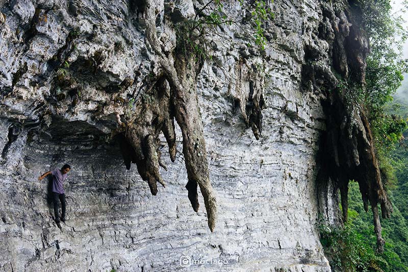 Vách đá trắng và những măng đá kỳ dị Vách đá trắng và những măng đá kỳ dị