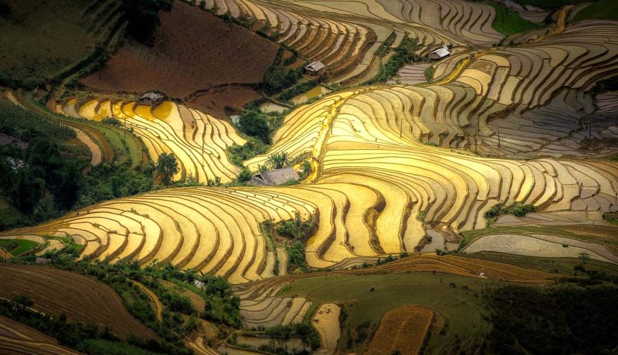 Mù Cang Chải mùa nước đổ