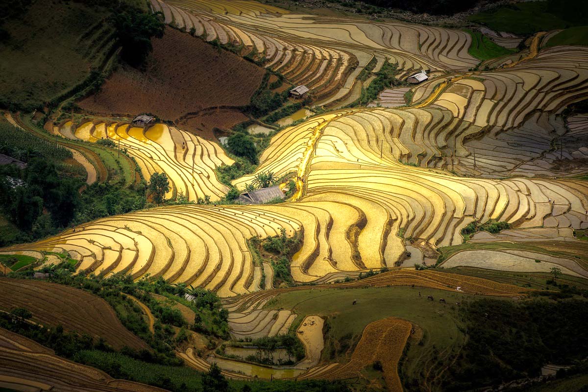 Mù Cang Chải mùa nước đổ