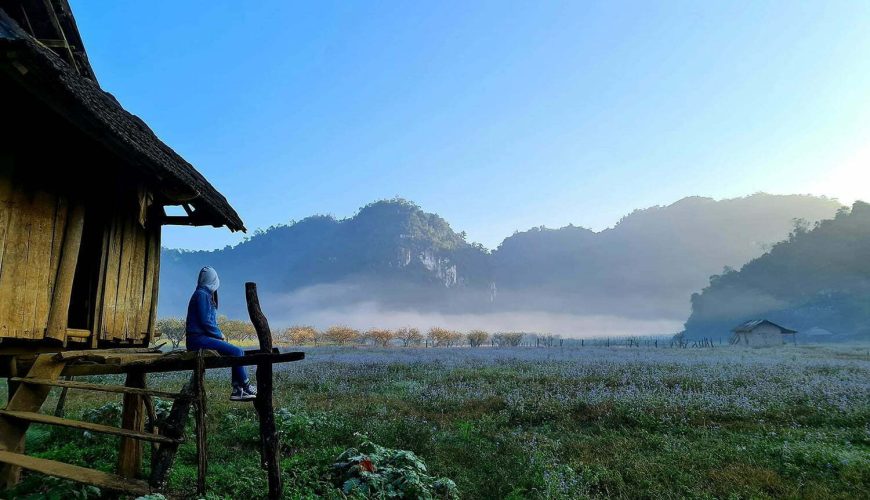 Thung lũng mận Nà Ka mộc châu