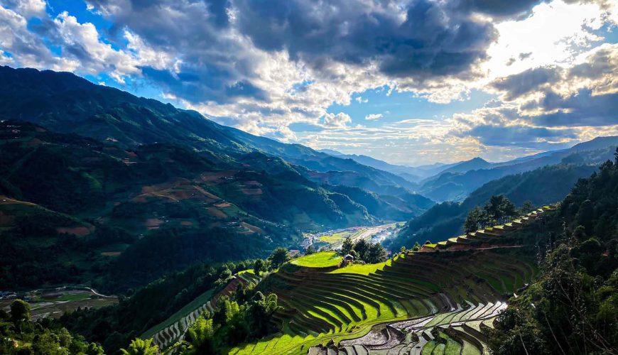 Mùa Vàng Mù Cang Chải