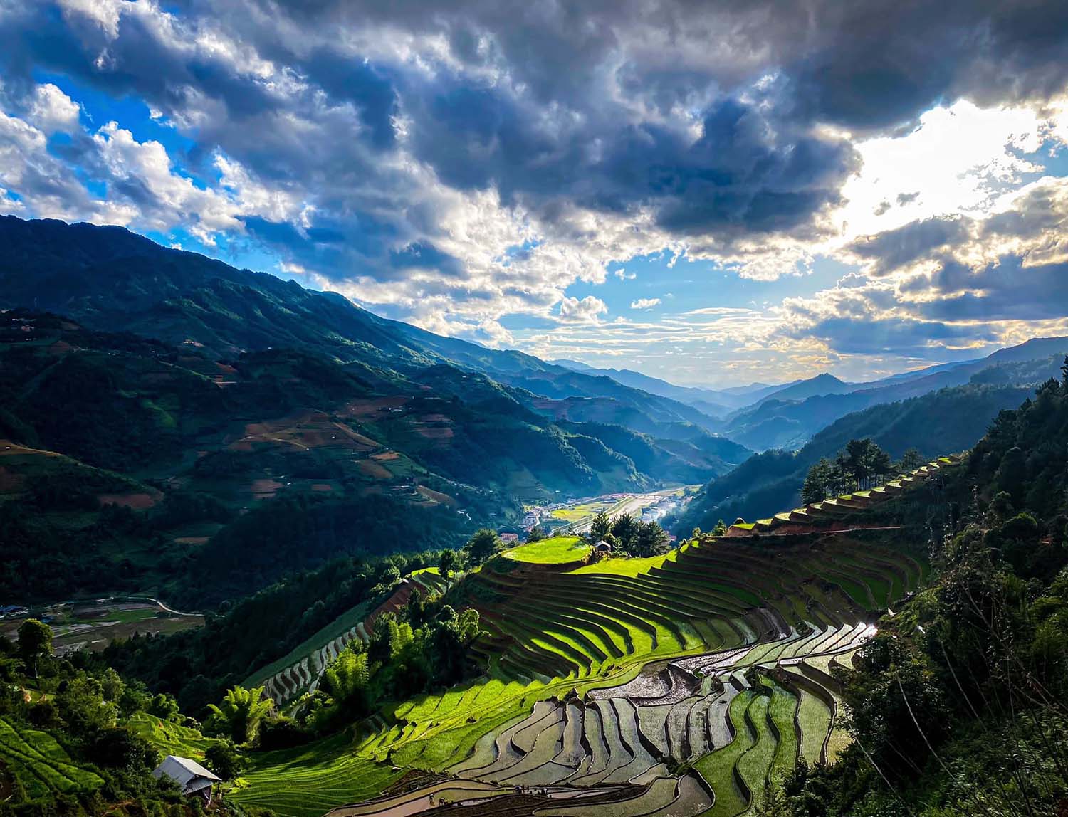 Mùa Vàng Mù Cang Chải