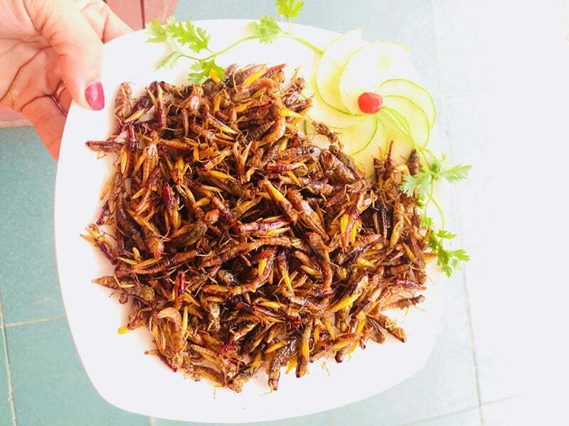 Món tôm bay mùa lúa chín