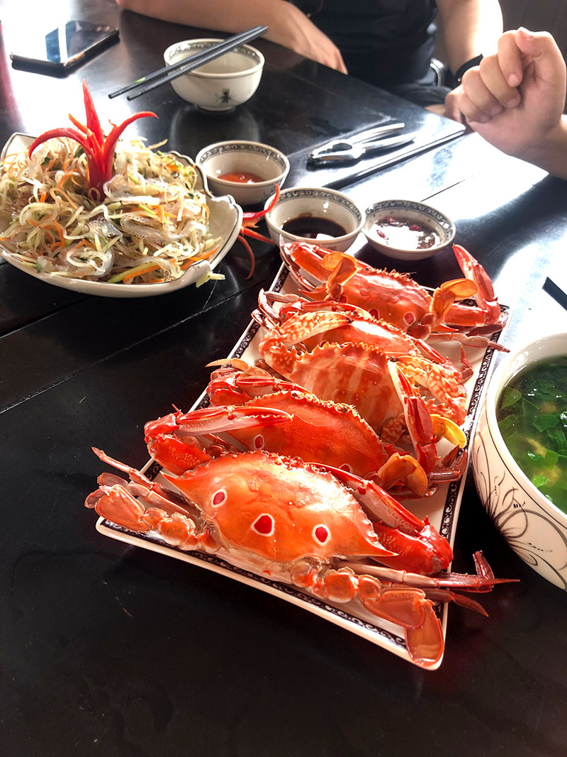 tour hải phòng cát bà ăn trưa hải sản tour hải phòng cát bà ăn trưa hải sản