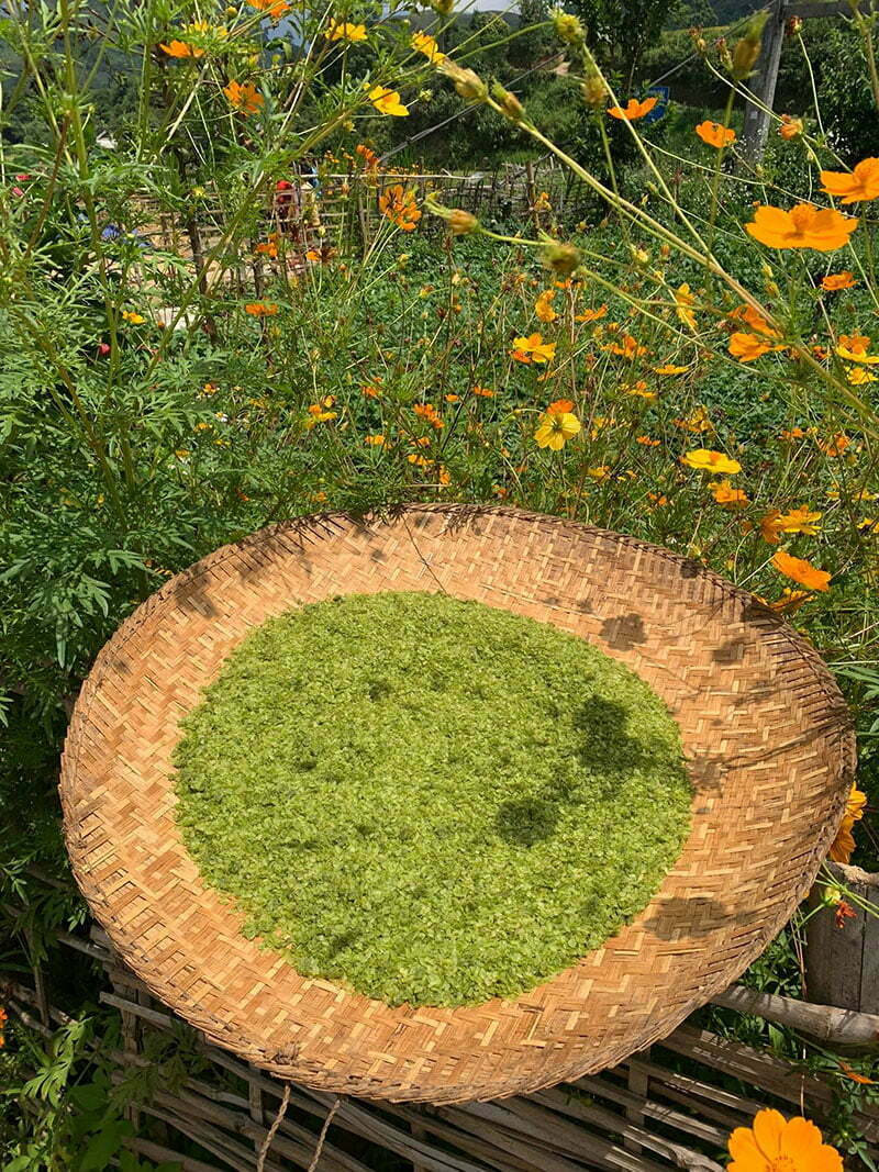 Cốm Khau Phạ Cốm Khau Phạ