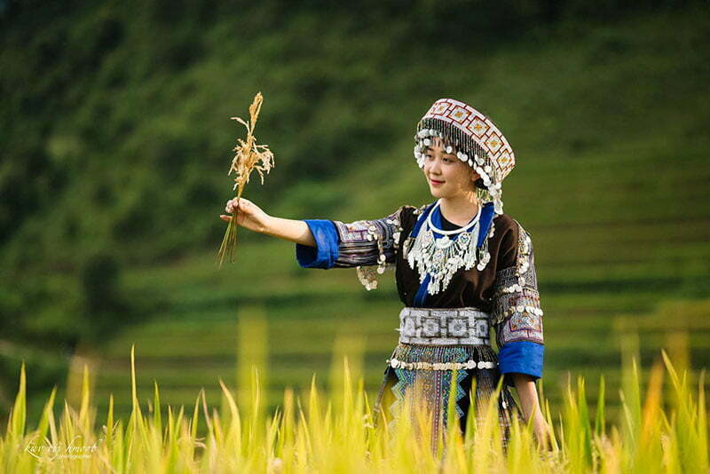 Mù cang chải mùa lúa chín là thời điểm chụp ảnh đẹp nhất Mù cang chải mùa lúa chín là thời điểm chụp ảnh đẹp nhất