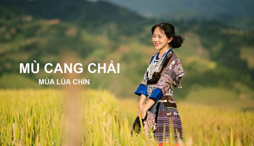Mù Cang Chải mùa lúa chín