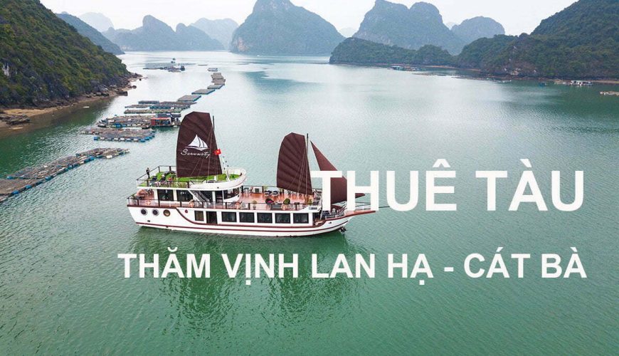 Thuê tàu thăm Vịnh Lan Hạ Cát Bà
