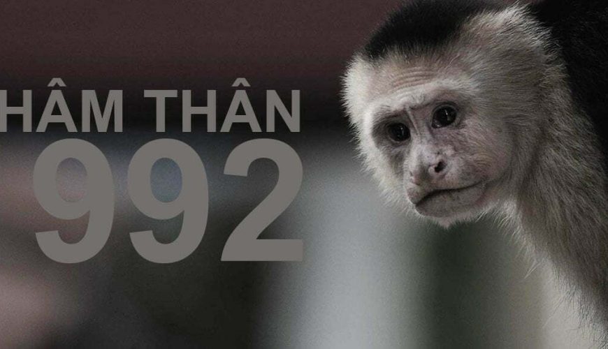 1992 mệnh gì? tuổi nhâm thân