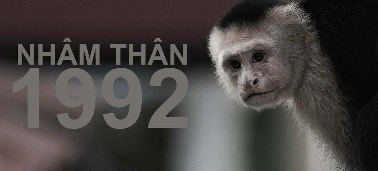 1992 mệnh gì? tuổi nhâm thân