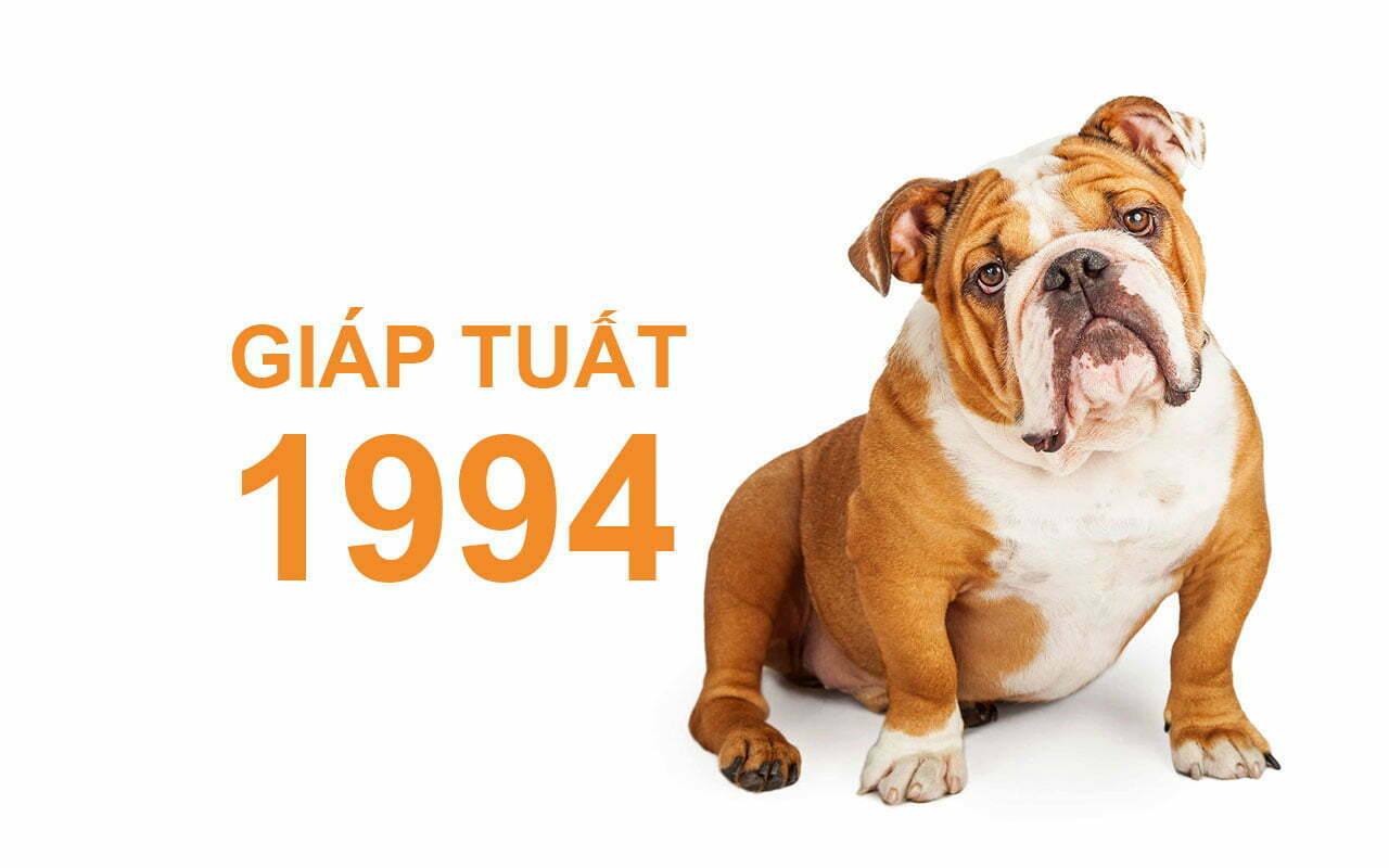 1994 mệnh gì? Giáp Tuất