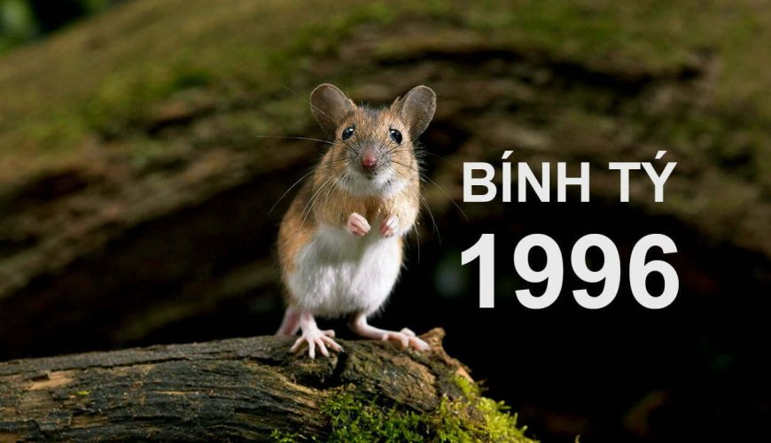 1996 mệnh gì