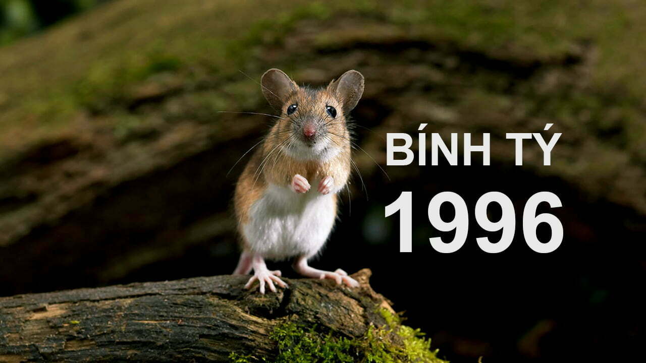 1996 mệnh gì