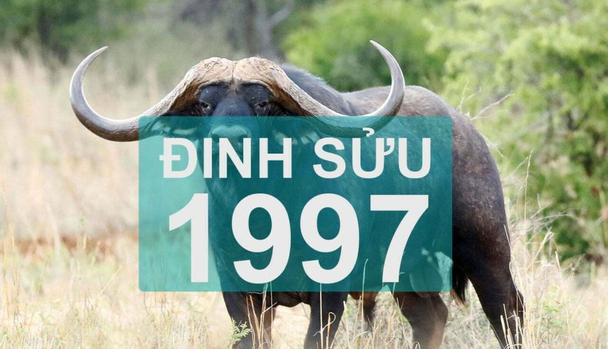 1997 mệnh gì