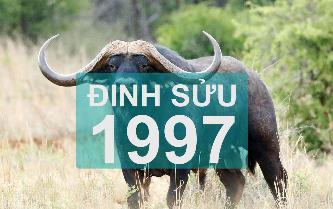 1997 mệnh gì