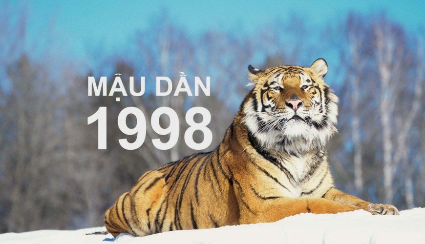 1998 Mệnh Gì? Mệnh Thổ