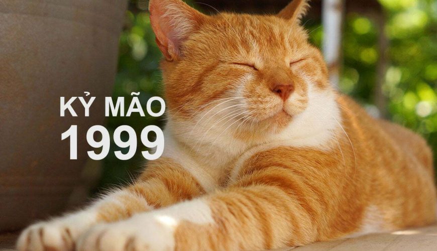 Kỷ Mão 1999 mệnh gì?