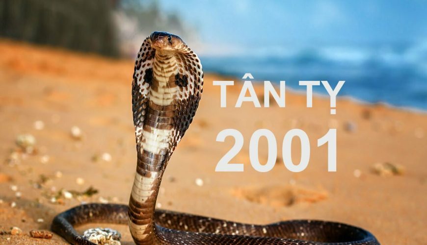 Tân Tỵ 2001 mệnh gì