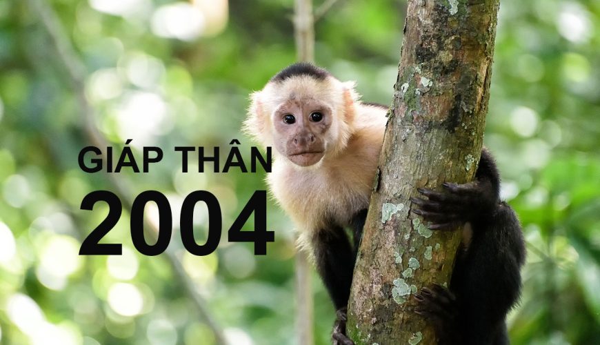 Giáp Thân 2004 mệnh gì?
