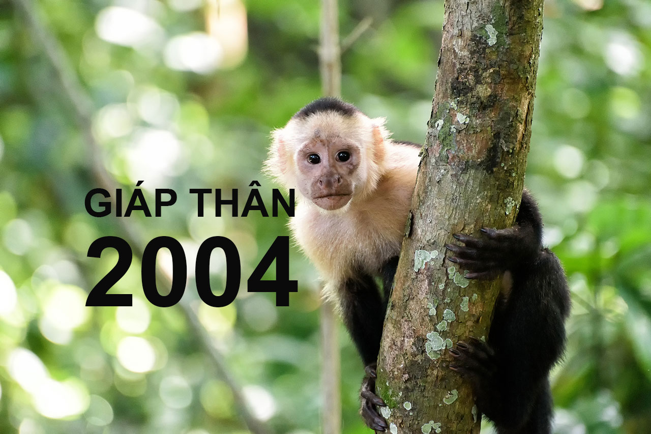 Giáp Thân 2004 mệnh gì?