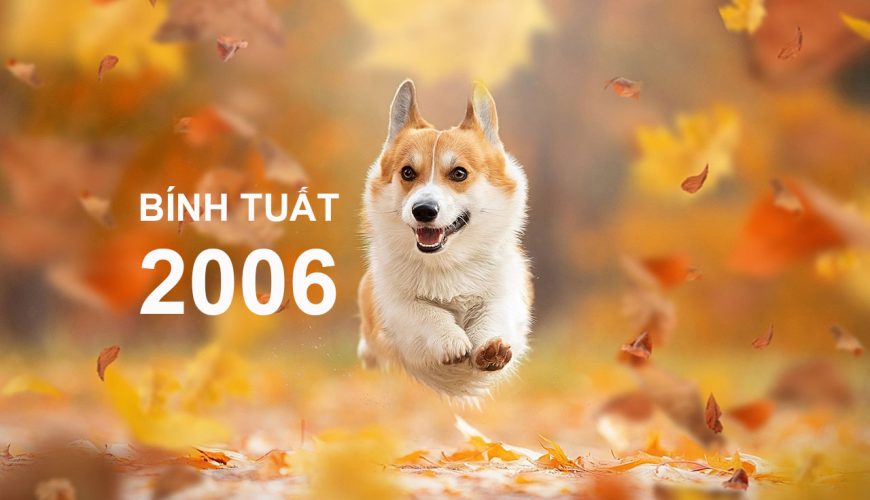 Bính Tuất 2006 Mệnh Gì?