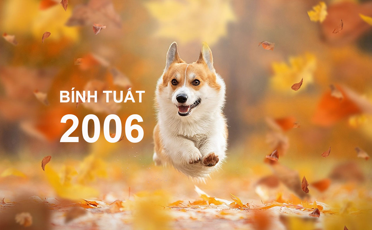 Bính Tuất 2006 Mệnh Gì?