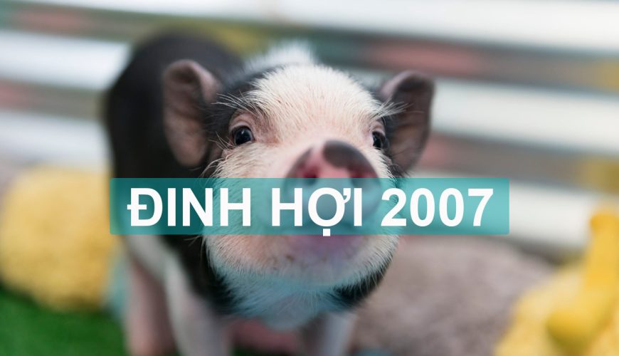 Đinh Hợi 2007 mệnh gì?