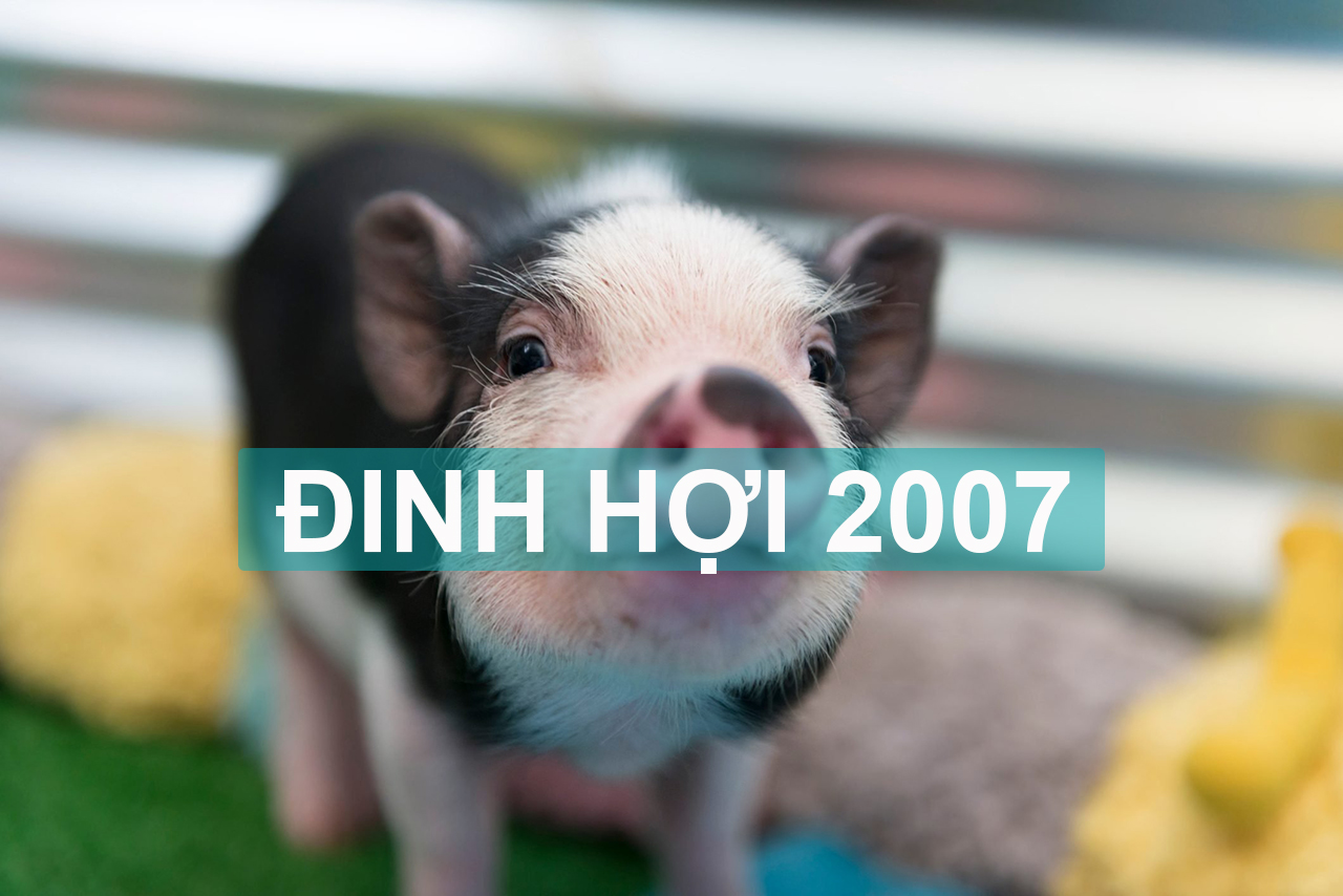 Đinh Hợi 2007 mệnh gì?