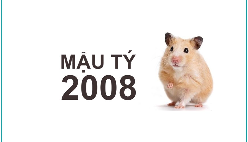 Mậu Tý 2008 mệnh gì